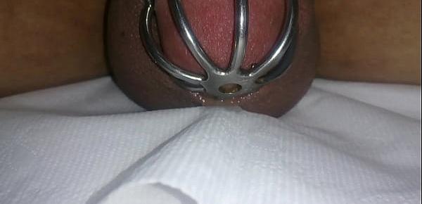  cumming in chastity device with vibrating egg ,hand free cum shot ,cock cage cum